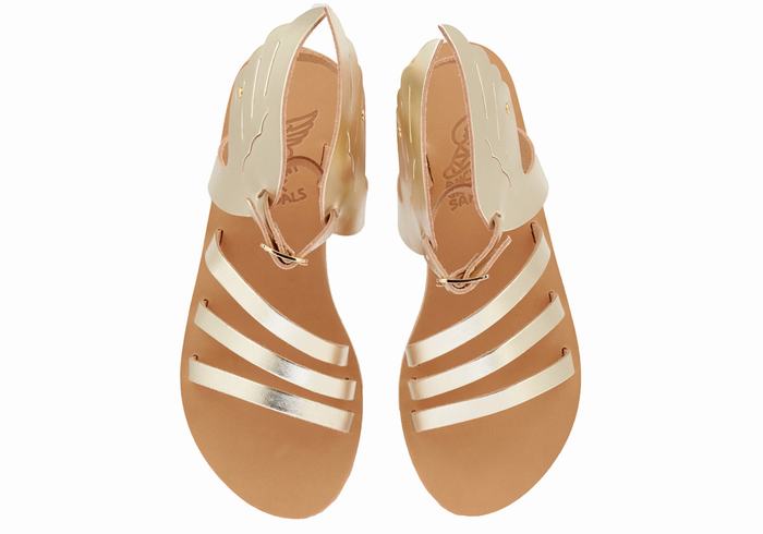 Sandales Bride Cheville Ancient Greek Sandals Ikaria Leather   | BUJ-6807207